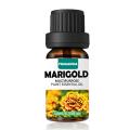 Fragancia Marigold Essential Oil - Therapeutic Grade Aromatic Oil, Aromatherapy Used for Diffuser, Humidifier. 
