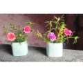 Pack of 3 Mini Artificial Plant Pots for Home and Office Decoration Modern Indoor Planters Multipurpose Gift Set. 