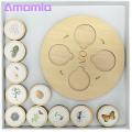 Amamia Life Cycle Puzzle Simulated Life Cycle Jigsaw Puzzles Plant Growth Matching Game. 
