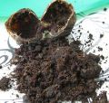 Kasturi mushk | purest deer mushk |by herbal heaven. 