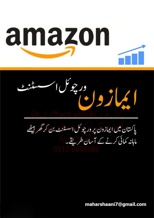 Complete%20Guide%20Book%20In%20Urdu%20To%20Become%20A%20Pro%20Amazon%20Virtual%20Asisstant%20-%20Image%208