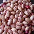 Desi Lobia | Organic Beans | Mansehra ka  Lobia | Beans | 3kg. 