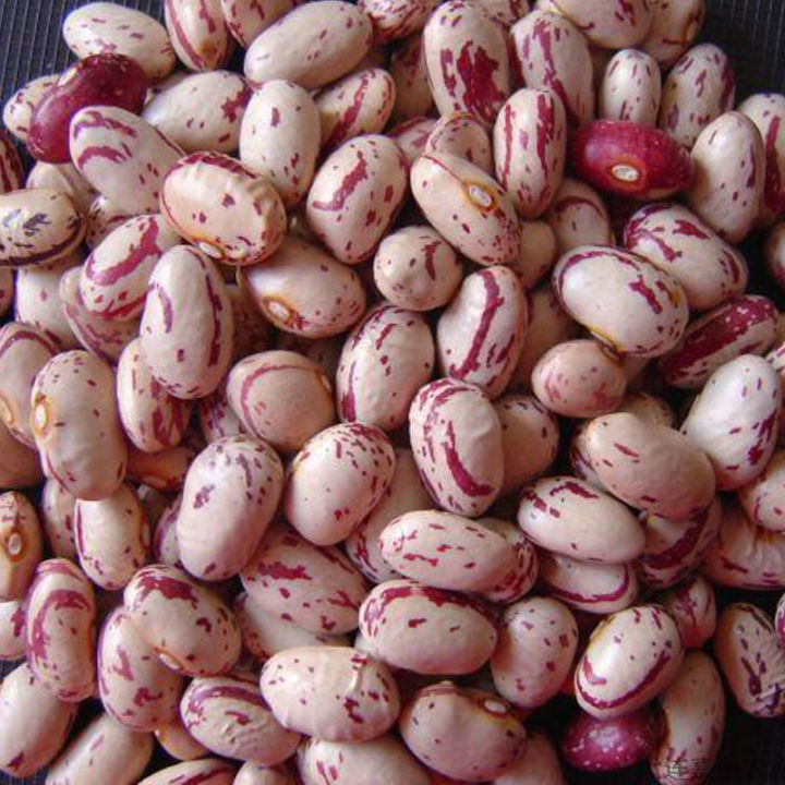 Desi Lobia | Organic Beans | Mansehra ka  Lobia | Beans | 3kg