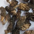 Morel Mushroom, Gucchi, Mushroom 100grams. 