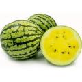 Watermelon yellow TARBUZ RARE VARIETY Fuit Seeds. 
