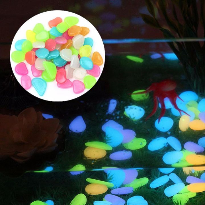 Glow%20In%20The%20Dark%20Stones%20Pebbles%20Aquarium%20Plants%20Fairy%20Mini%20Garden%20-%20Pack%20of%201%20-%20Image%204