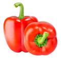 Capsicum Red F1 Hybrid Vegetable Seeds Bell pepper. 