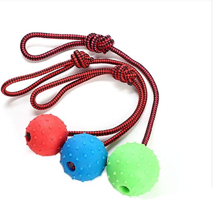 ball with rope toy for traning | Daraz.pk
