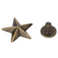 10Pcs Metal Star Studs Rivet Spike Screws for Leathercraft DIY Clothing Bags. 