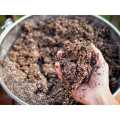 Seed Starting Potting Mix- Pack of 1,2,3,5. 