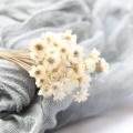 30Pcs Dried Daisy Floral Bouquet Wedding DIY Home Decor Artificial Flower Bouquet Fluffy. 