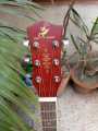 Acoustic Guitar 41 inches Color Purple with Free Gifts. 