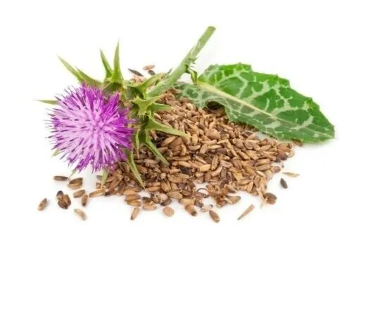 Milk%20Thistle%20Herb,%20Milk%20Thistle%20Loose%20Tea%2056%20gm%20-%20Image%203