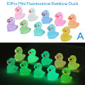 10Pcs Mini Luminous Resin Ducks Glow In The Dark Miniature Ornament Tiny Duck Sunlight Super Store. 