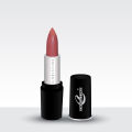 Christine Lipstick Shade 18. 