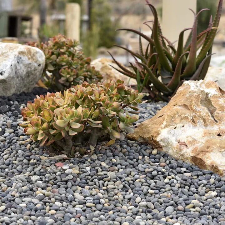 Sea/Beach%20Pebbles%20%7C%202%20kg%20of%20Smooth%20Polished%20Stones%20%7C%20Hand-Picked,%20Premium%20Pebbles%20for%20Garden%20and%20Landscape%20Design%20%7C%20Mixed,%203%20Inch%20-%205%20Inch%20-%20Image%204
