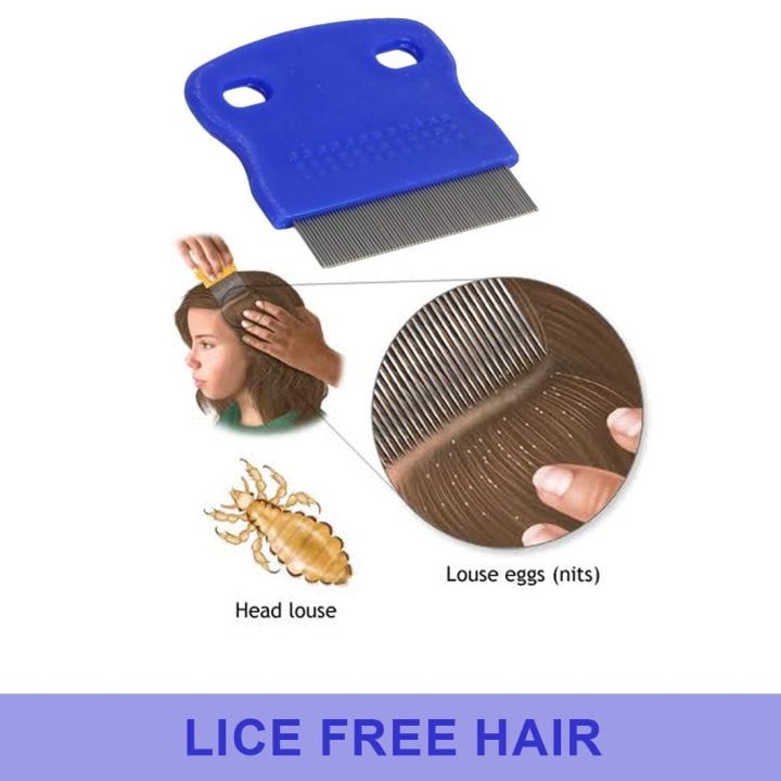 Premium%20Anti%20Lice%20Hair%20Comb%20Small%20Teeth%20(Multicolor)%20Kanghi%20Kangi%20Plastic,%20Antilice%20Comb,%20Nit%20Comb,%20Nit%20Combs,%20Anti%20Lice%20Comb%20Plastic,%20Head%20Lice%20Remover,%20Louse%20Brush%20Removes%20Nits,%20Head%20Lice%20And%20Eggs%20Removal,%20Lice%20Cleaner,%20Lice%20Cleaning%20-%20Image%206