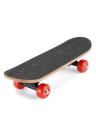Zayraz Skateboards for Adults Youths Teens Kids Girls Boys Beginners 23 inch Length by Zayraz Skate Boards 7 Layers Deck Maple Wood Longboards - Black. 