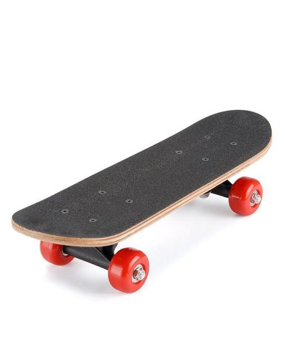 Zayraz Skateboards for Adults Youths Teens Kids Girls Boys Beginners 23 inch Length by Zayraz Skate Boards 7 Layers Deck Maple Wood Longboards - Black