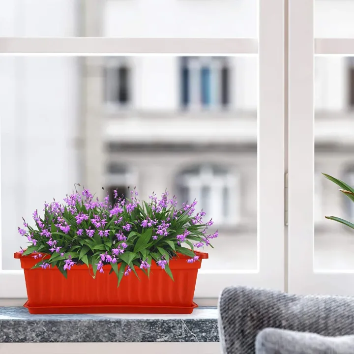 decoration%20Pack%20of%202%20Plastic%20Kiari%20for%20plants%20and%20flower%20growing%20dia%2017%20x%208%20inch,%20height%205.50%20inch%20(SG-151)%20-%20Image%202