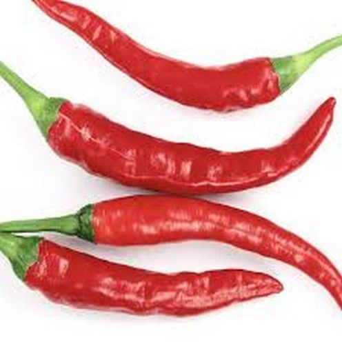 Cayenne Pepper Seeds Hot Chilli Pepper