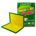 Reusable Expert Catch Mouse and Rat Glue Catch Traps Mouse Glue Traps Sticky Boards Mouse Catcher Mice Professional Strength Glue and Foldable Cardboard Mouse Killer Glue Trap. 