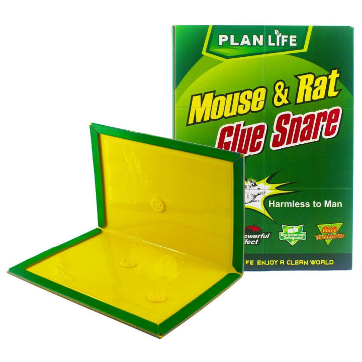 Reusable%20Expert%20Catch%20Mouse%20and%20Rat%20Glue%20Catch%20Traps%20Mouse%20Glue%20Traps%20Sticky%20Boards%20Mouse%20Catcher%20Mice%20Professional%20Strength%20Glue%20and%20Foldable%20Cardboard%20Mouse%20Killer%20Glue%20Trap%20-%20Image%202
