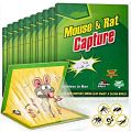 Mouse & Rat Glue Mat - Sticking Mat for Rats (1 Piece). 