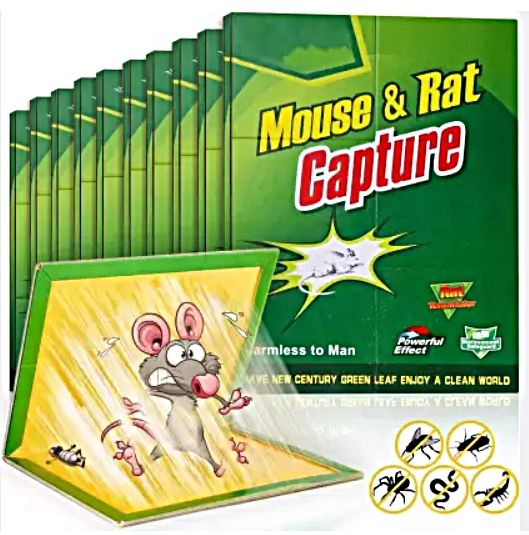 Mouse%20&%20Rat%20Glue%20Mat%20-%20Sticking%20Mat%20for%20Rats%20(1%20Piece)%20-%20Image%204