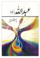Abdullah Part 1 And 2 (Combined) Urdu novel by Hashim Nadeem Best selling urdu reading book. 