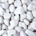 White Medium Pebbles/ Stones for Garden and Aquarium  1 kg pack. 