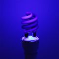 220V 20W E27 Fluorescent Blacklight CFL Light Bulb Lamp Replacement UV Light Lamp Fly Trap. 