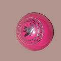 Cricket Practice Hard Ball (Synthetic) White & Red. 