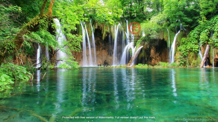 Al Ghani Enterprise 2 X 1 Feet Printed Beautiful Jungle Water Fall Green Natural VIEW Self Adhesive Vinyl Wall Sticker  DECORATION For Home living room bed room drawing room Children room green Color