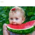 Fruit Seed Removal Device Stainless Steel for Fruit Pitter Home Kitchen. 