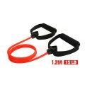 Fitness Exercise Cords Pull Rope Stretch Resistance Bands Elastic Yoga Training. 