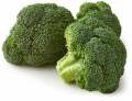 Broccoli 230+ High Quality Seeds Best for Home Kitchen Gardening High Germination Rate. 