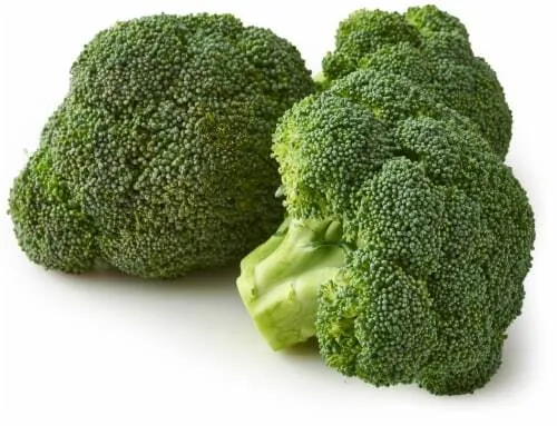 Broccoli%20230+%20High%20Quality%20Seeds%20Best%20for%20Home%20Kitchen%20Gardening%20High%20Germination%20Rate%20-%20Image%202