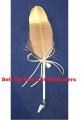 Pigeon Feather PEN Wedding Nikkah Feather Leaf Signature Gift Pen Multicolour. 