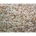 Char Magaz (Charoon Maghaz) 1000 GM 1 KG. 