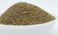 Ajwain Karfas | Tukhm e Karfas | Celery Seeds تخم کرفس‎ | 500 gm. 