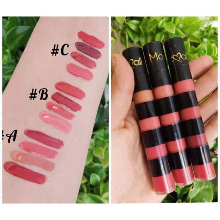 4 In 1 Long Lasting Velvet Matte Lip Gloss Waterproof , 4 in 1 Liquid Lip Gloss Matte Lip Gloss set Lipgloss