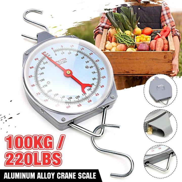 Hanging Scale 100kg 220lbs and 200kg Capacity Alloy Mechanical Hanging Scales With 2 Hook