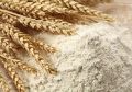 Vital Wheat Gluten Powder, 400 g (Single Pack). 