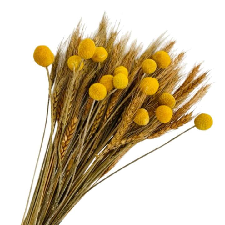 FEER 100P rie Wheat tk ecr & 15 t w Bi B , Autu F Fw ecrat