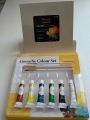 Gouache Colour Set The Guardian of Art. 