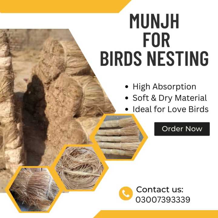MUNJH OR BIRDS NESTING  MATERIAL / FOR FISCHER / LUTINO / ALBINO LOVEBIRD & PARROTS - 50 GRAMS