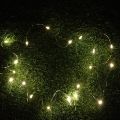 Chilli Milli 2 Meter Battery-Operated Fairy Lights for Every Decor. 