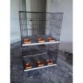 Cage For Birds 2 Portion Folding Cage Best Quality Size 2ftx1 .5ftx1 .5ft Per Portion Size. 