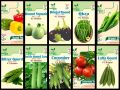 Pack of 10 F1 Hybrid Summer Vegetables seeds. 